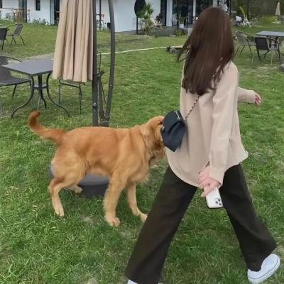 都是她的错